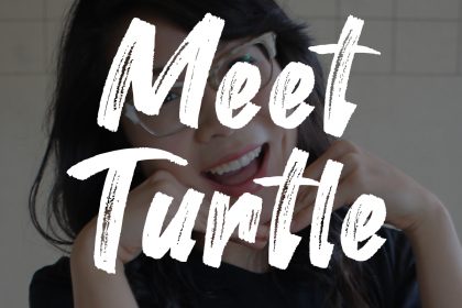 Turtle